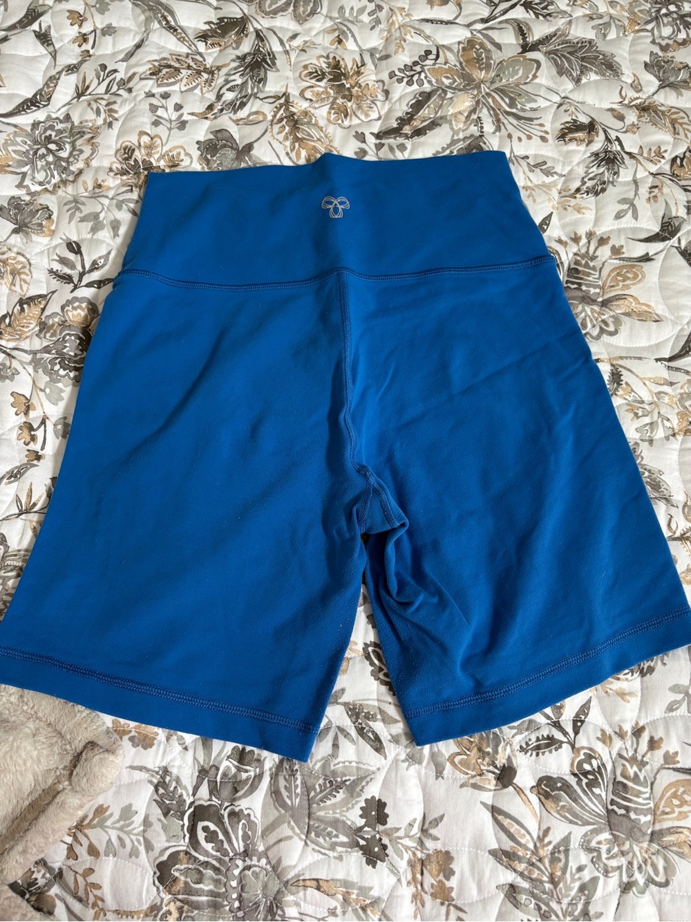 Aritzia Royal Blue High-Rise Bike Shorts